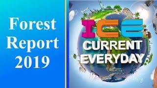 027 # ICE CURRENT EVERYDAY # FOREST REPORT 2019