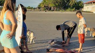 En la playa que pescados más ricos  El Salvador daily