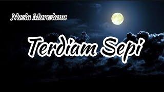 Nazia Marwiana - Terdiam Sepi Lyrics