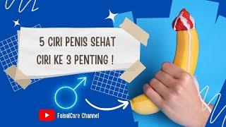 Inilah 5 Ciri Penis yang Sehat nomor 3 perlu kamu perhatikan 