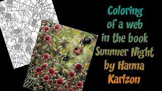 Speed coloring of a Web in the book Summer Night by Hanna Karlzon