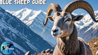 Sundarpatan Blue Sheep Guide TheHunter Call Of The Wild