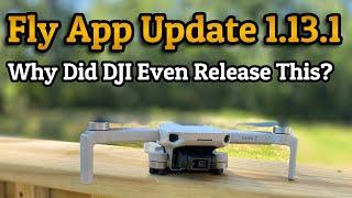 Disappointing DJI Fly App Update 1.13.1  Is It Worth the Download?