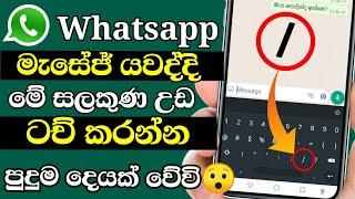 Whatsapp secret tricks and tips new 2021 Shark boy sl  whatsapp rahas