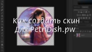 Как сделать простой скин  PetriDish.pw