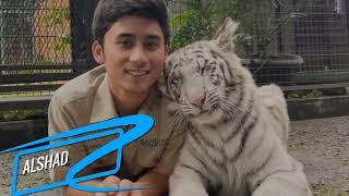 artis yang memelihara harimau