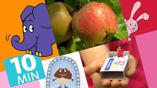 Hallo Elefant - Wie wachsen Äpfel? & Wie wäre es klein zu sein?  Der Elefant  WDR