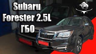 Правильный газ на Subaru Forester. FB25 оппозитный двигатель