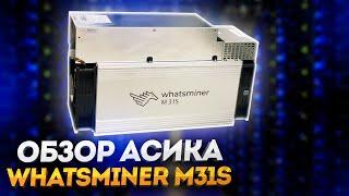 WHATSMINER M31S 80TH. Тестируем асик и оцениваем окупаемостьдоходность