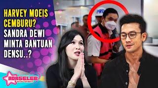 MENGEJUTKAN Sandra Dewi Tiba Tiba Minta ini ke Denny Sumargo? Begini Reaksi Harvey Moeis