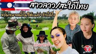 สาวลาวสะใภ้ไทย ขยันขนาดนี้ทำได้ทุกอย่างไม่ให้เเม่ย่ารักได้ไง #สาวลาว #วิถีชาวบ้าน