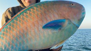 Tusky & Parrot Fishing Inside MoretonBay Ep4 StinkyFingersFishing