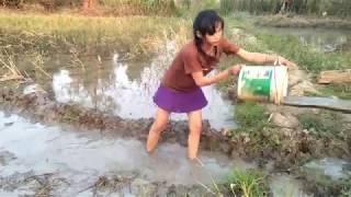 Amazing beautiful girl Fishing in the field in Cambodia- How to Catch Fish at battambang  part 41