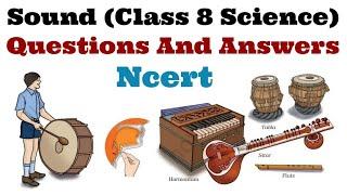 Sound  Questions And Answers Science For Class 8 NCERT 