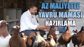 AZ MALİYETLE YAVRU MAMASI HAZIRLAMA - MEHMET TÜRK