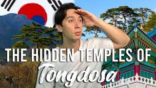 $2 Day Trip from Busan to the MOST ICONIC Temple in Korea Tongdosa 통도사