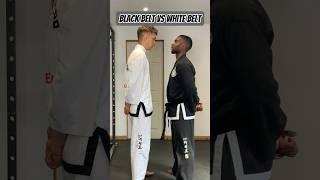 Black belt vs white belt kicking challenge