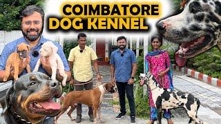 கோயம்புத்தூர் Dog Kennel  Boxer  Great Dane ராஜபாளையம் Rottweiler  Puppies for Sale  Dog for Sale