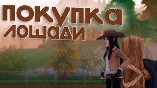 ˗ˏˋ ПОКУПКА ЛОШАДИ  comeback  Star Stable Online ˎˊ˗