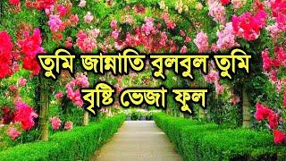 বাংলা গজল তুমি যষ্টি মুকুল মিষ্টি বকুল   Bristy Veja Ful  Syed Sajidul  Bangla Gojol  #gojol