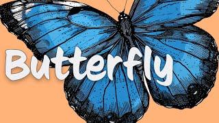 Butterflies are FANCY Insects  Metamorphosis  Pollination 