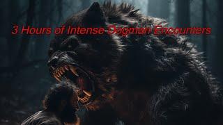 3 Hours of Intense Dogman Encounters