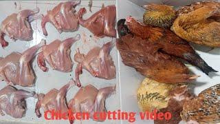 Chicken cutting educational video #viralvideo #chicken #subscribe #highlight #cowvideo #support
