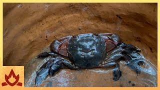 Primitive Technology Crab and Fish Trap