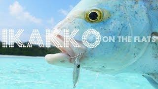 DUO IKAKKO - ON THE FLATS