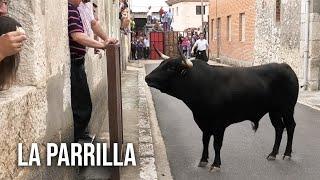 La Parrilla 2024 Toro del Cajón