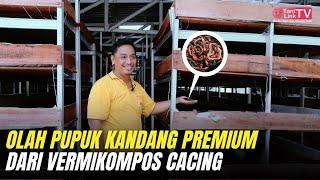 Melihat Langsung Pembuatan Vermikompos Cacing Pupuk Organik Multiguna