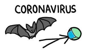 Why Do Bats Carry So Many Diseases? like Coronavirus
