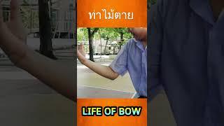 ท่าไม้ตาย