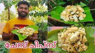 Chembu chips malayalam  Taro root chips   chembu recipe  ചേമ്പ് ചിപ്സ്