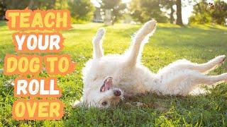 Master the Art of Teaching Your Dog to Roll Over with Ease