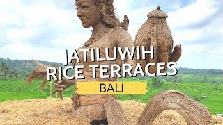 JATILUWIH RICE TERRACES Tips to visit Balis rice fields