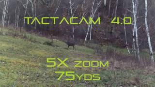 8 Point Buck - Tactacam 4.0