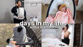 Day in my Life as a New Mom  solo parenting setting a newborn schedule newborn day in the life