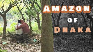 Botanical Garden Dhaka Bangladesh  Amazon of Dhaka  4K Video 