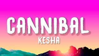 Kesha - Cannibal Lyrics