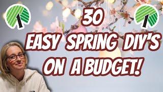 30 Dollar Tree EASY SPRING DECOR DIYs on a BUDGET