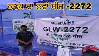 ਕਣਕ ਦਾ ਨਵਾਂ ਬੀਜ GLw-2272 ਦੇਖੋ ਪੂਰੀ ਵੀਡੀਉ। ਮਲੋਟ ਕਿਸਾਨ ਮੇਲਾ।