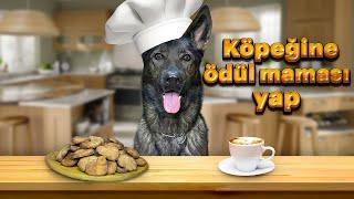 KÖPEKLER İÇİN EV YAPIMI ÖDÜL MAMASI