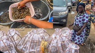 Buying fish traps and all kind of seafood - itokin market vlog