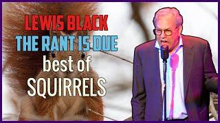 Lewis Black  The Rant Is Due Best of Squirrels