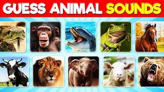 Can You Guess the Animal by the Sound?  Animal Sounds Quiz