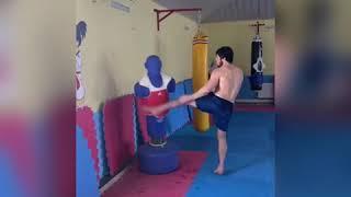 Tofiq Musayev training highlights