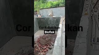 Buat Kolam Ikan Bioflok