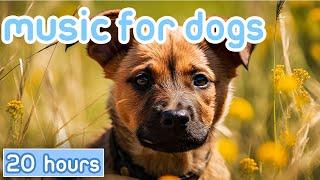 RELAXING DOG MUSIC  Classical Music Therapy to Comfort Dogs NEW