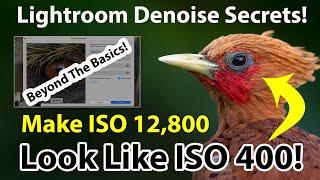 Lightroom Denoise Secrets Make ISO 12800 Look Like ISO 400